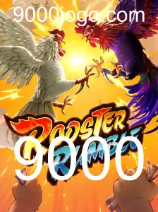 RoosterRumble: Uma Imersão no Mundo Competitivo